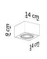 ”Plafon