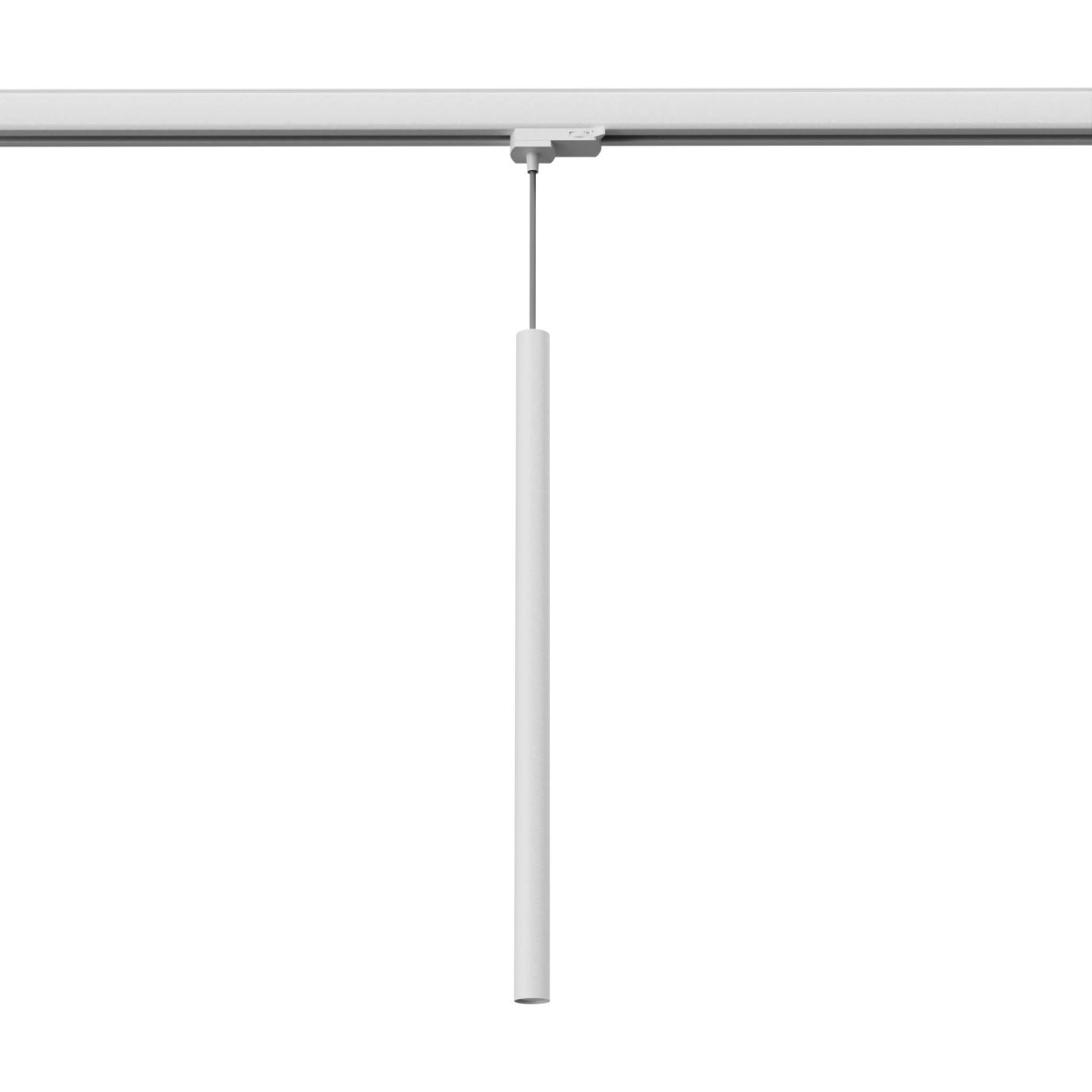 00021-1.jpg
