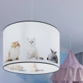 ”Lampa