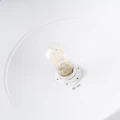 ”Lampa